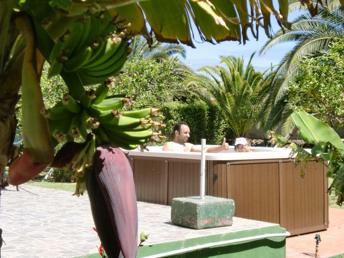 Finca La Gaviota - Los Limoneros Icod De Los Vinos Buitenkant foto