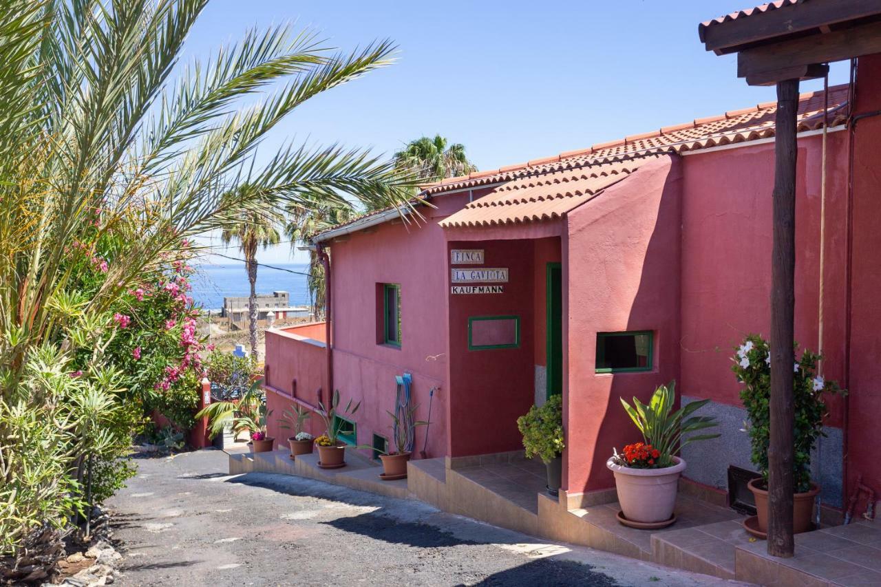 Finca La Gaviota - Los Limoneros Icod De Los Vinos Buitenkant foto